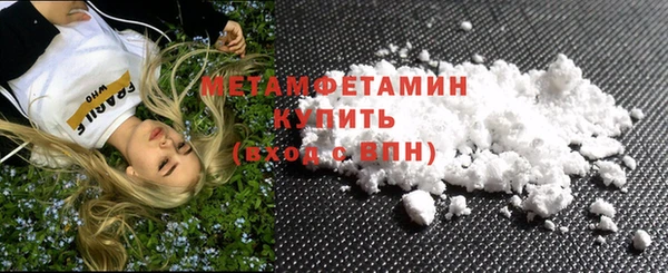 индика Нягань