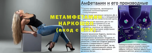индика Нягань