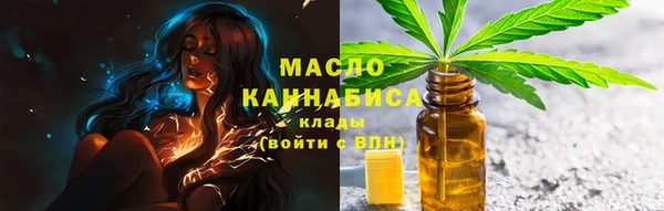 индика Нягань