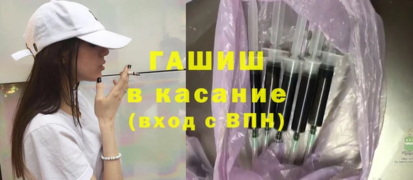 индика Нягань
