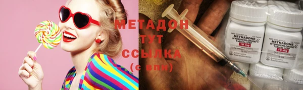 индика Нягань