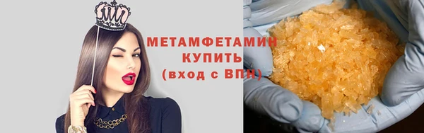 индика Нягань