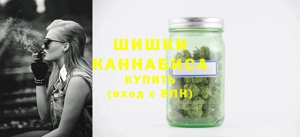 индика Нягань