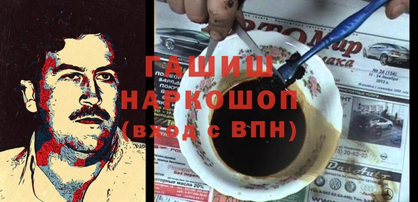 индика Нягань
