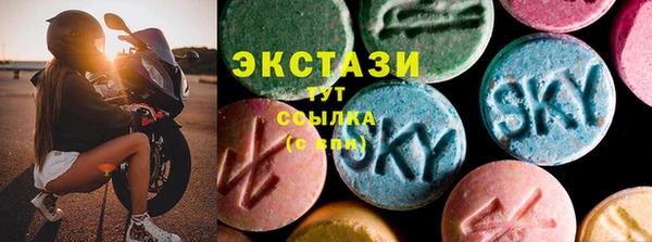 индика Нягань