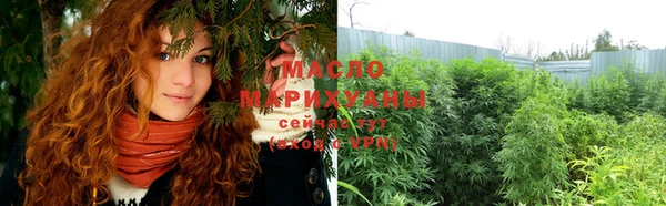 индика Нягань