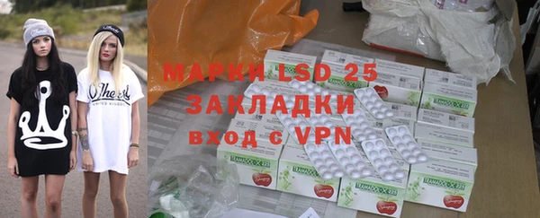 индика Нягань