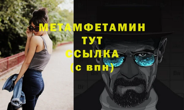 индика Нягань