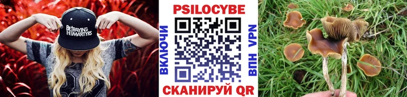 Псилоцибиновые грибы мухоморы  Ардон 